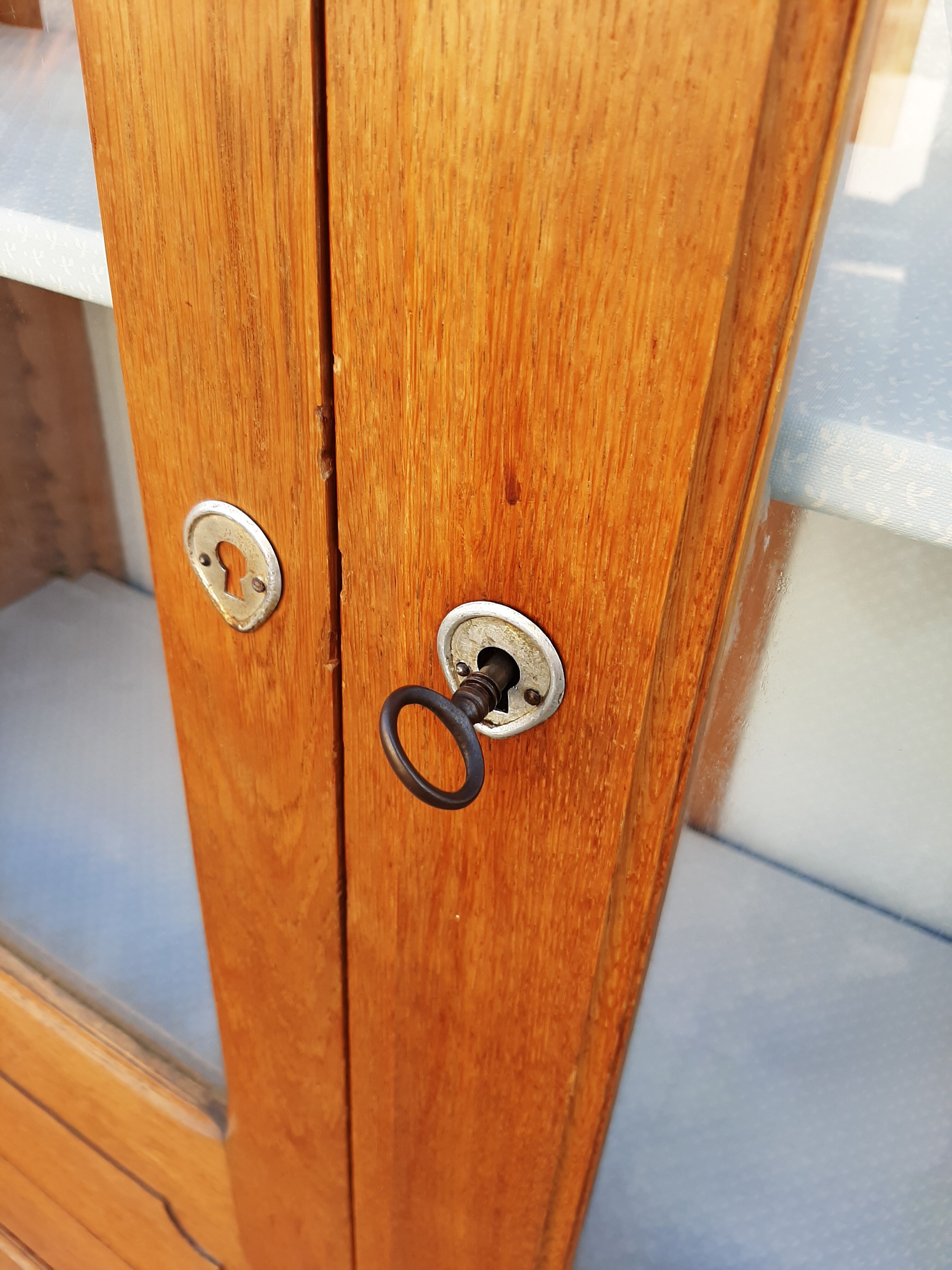 Ancient parisian oak library