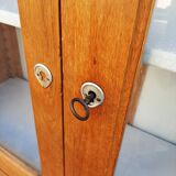 Ancient parisian oak library