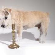 17th-century Spanish brass candlestick with square base
