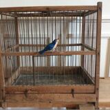Birdcage in early 20th century