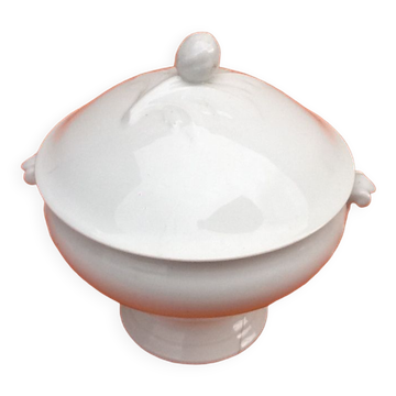 Old tureen White porcelain decorated with oak leaves