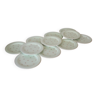 11 mint salt dessert plates