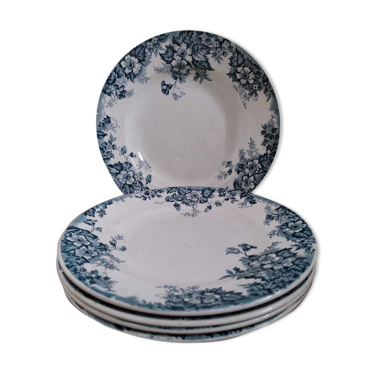 Set of flat and hollow plates in Terre de Fer Saint Amand & Hamage