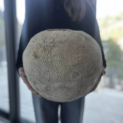 Minami - artisanal pot in mineral cement – Wabi-Sabi style