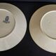 Pair of flat plates in Gien iron earthenware, Austerlitz decor