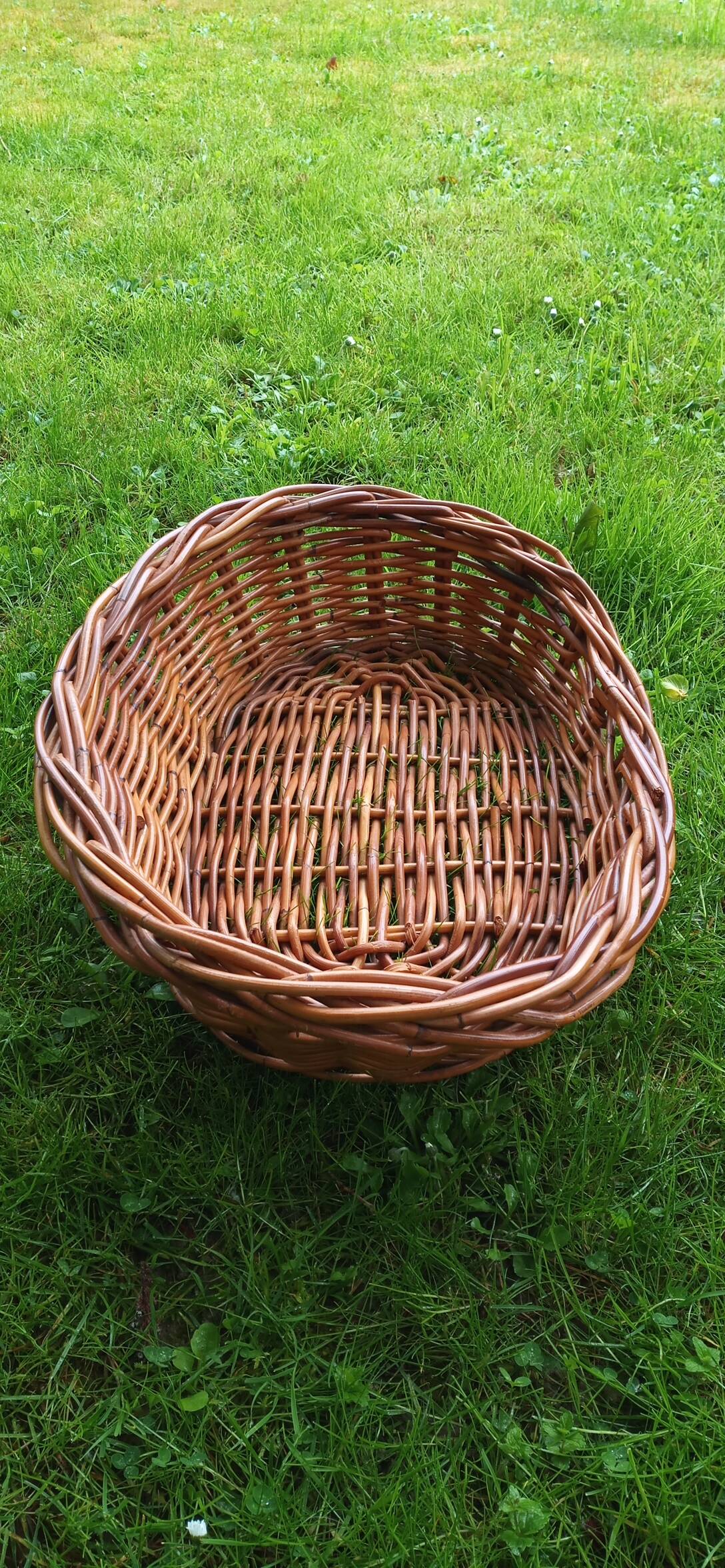 Vintage pet basket