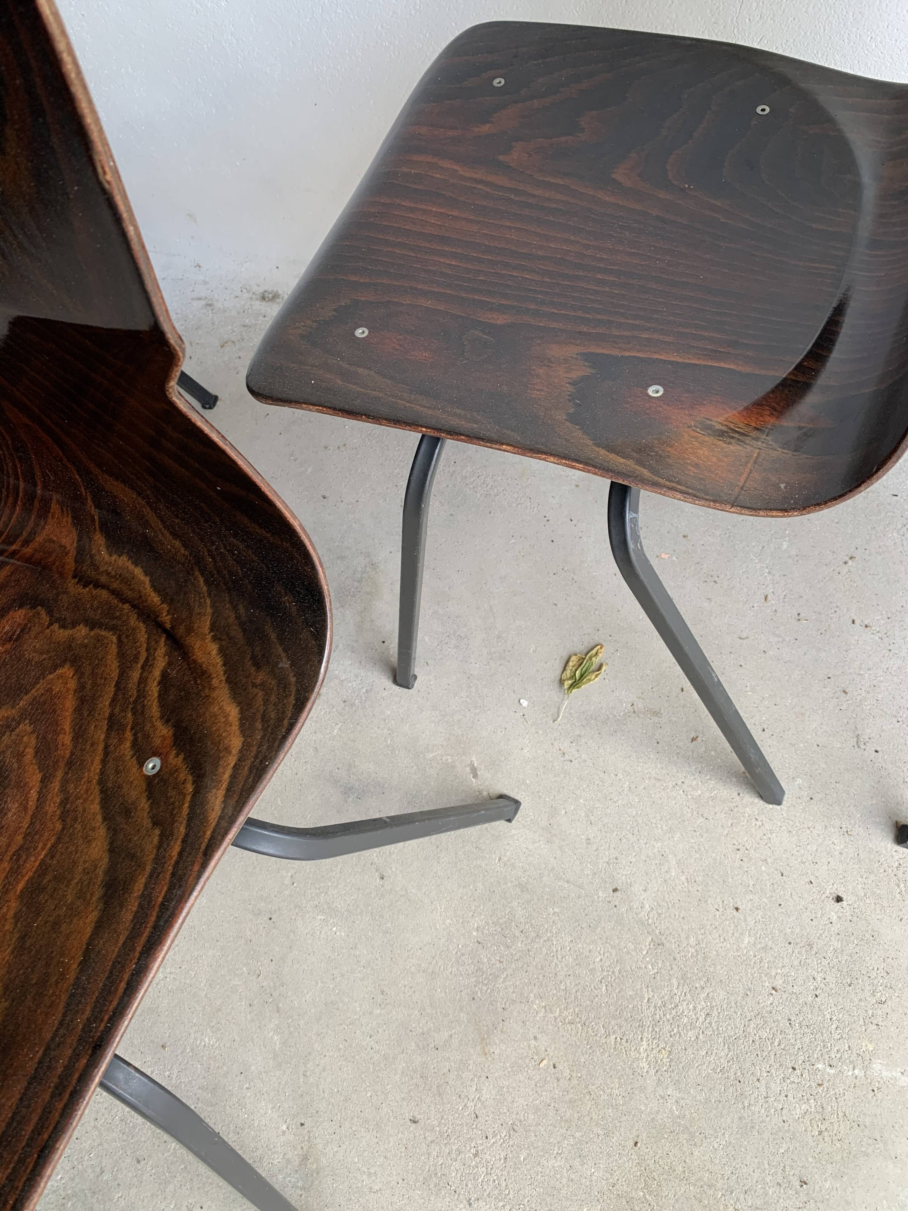 Set of 6 rosewood chairs Eromes