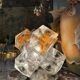 Lampe cubes en verre de stella par poliarte verona desing albino poli " 197