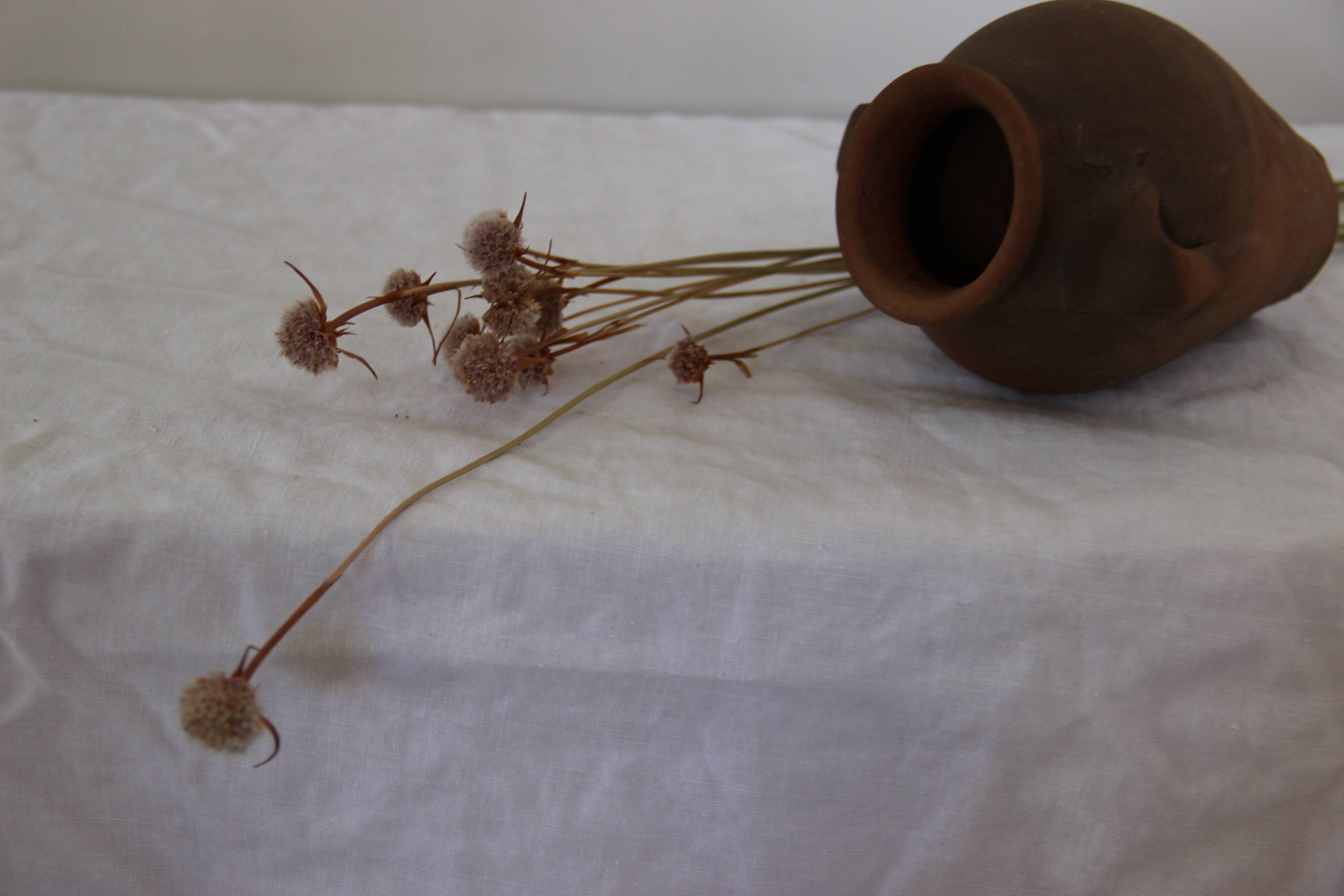 Old little terracotta jar