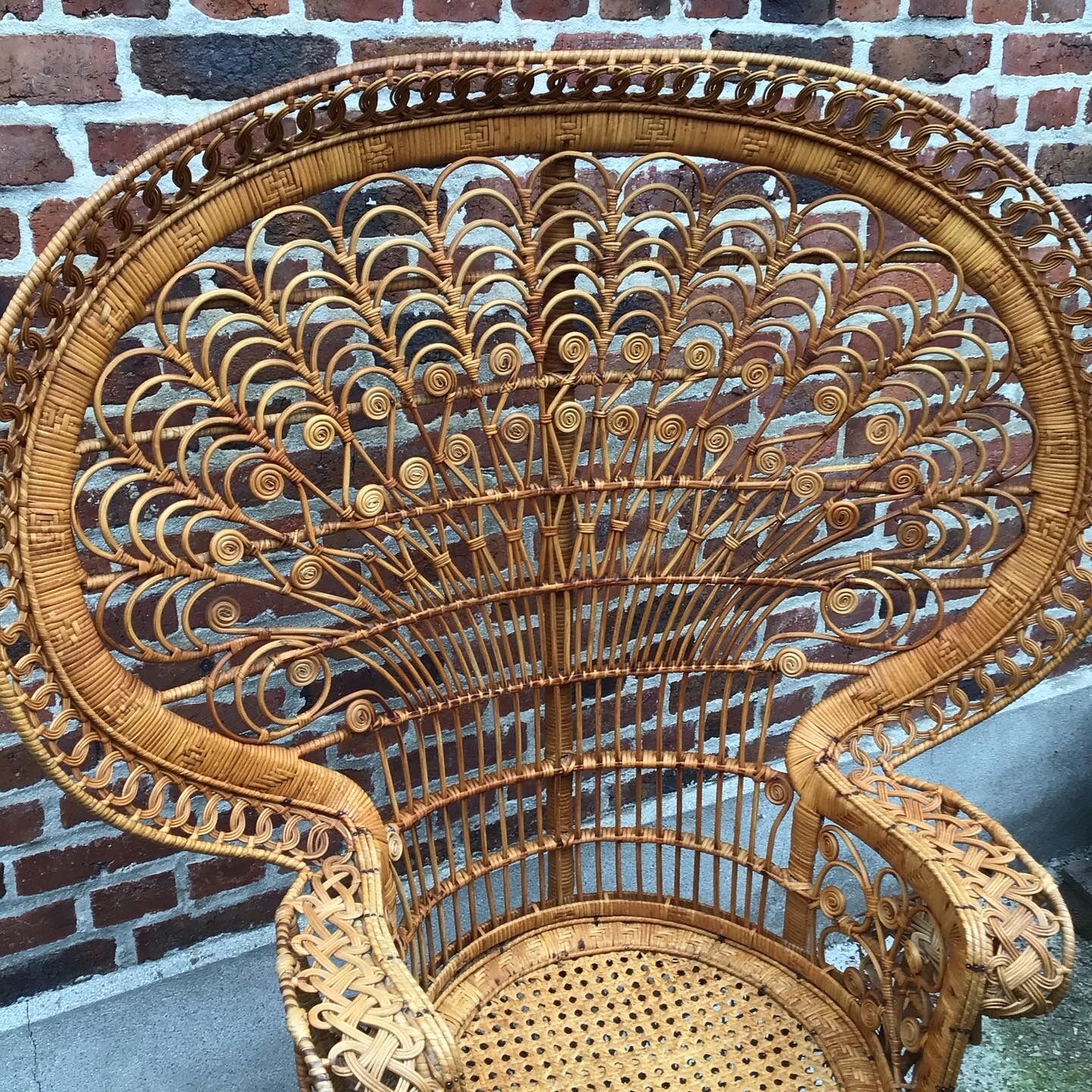 Emmanuelle peacock armchair