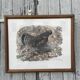 Gravure originale de Robert Hainard