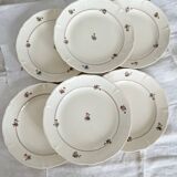 Set of 12 mdl plates - beauce model
