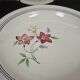 Lot de 6 assiettes demi creuses anciennes Salin France "Martine"