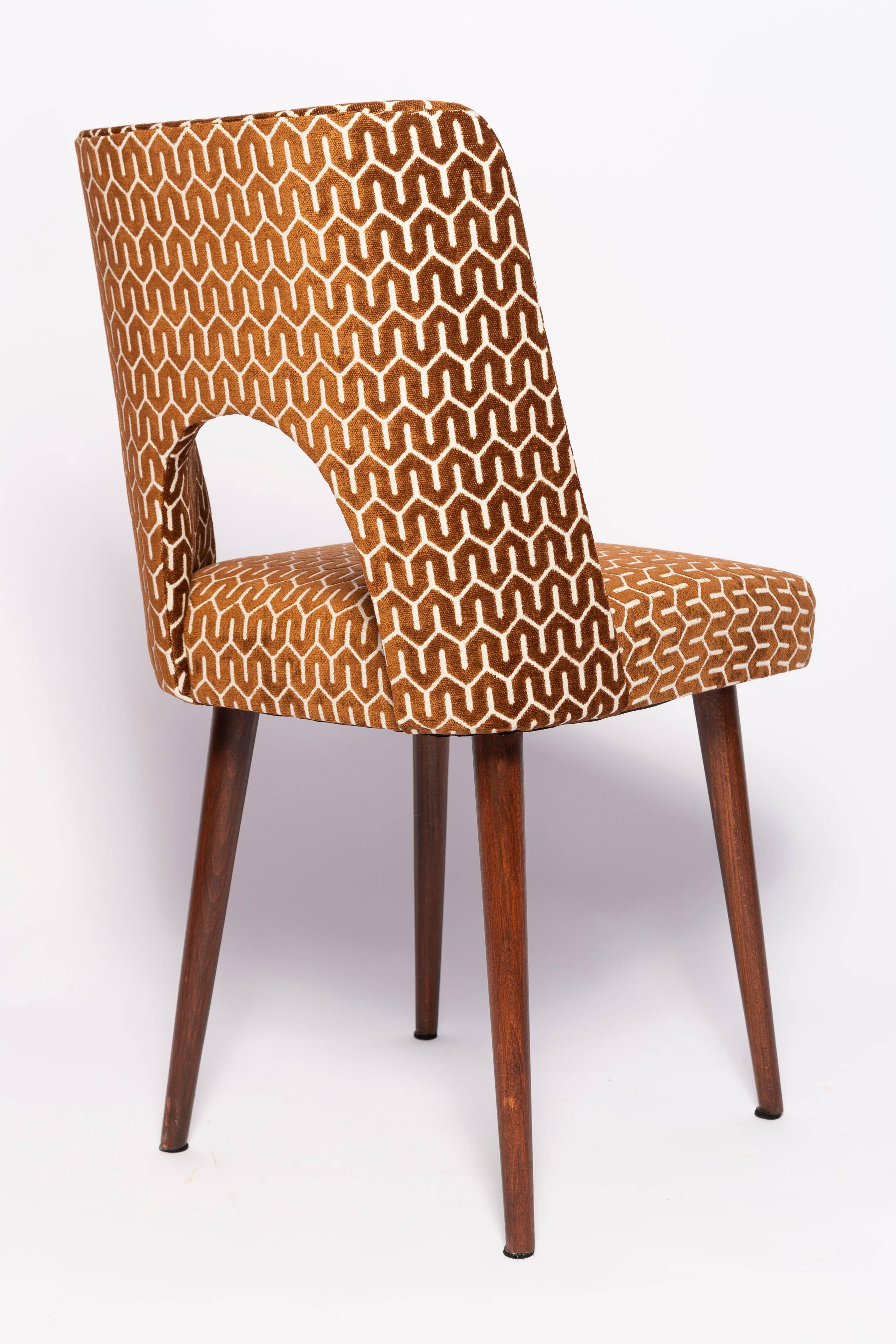 'Shell' chair chocolate mid-century, Europe, 1960s