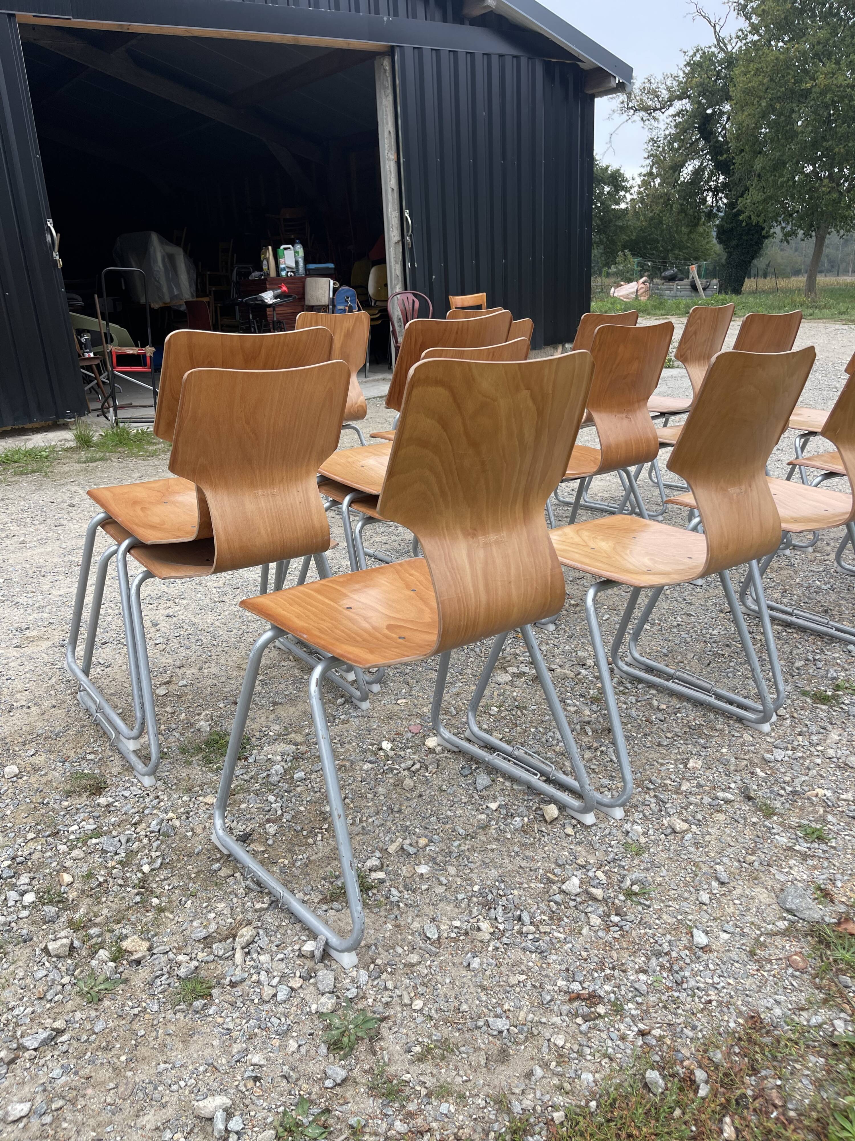 Chairs pagholz base sled light wood