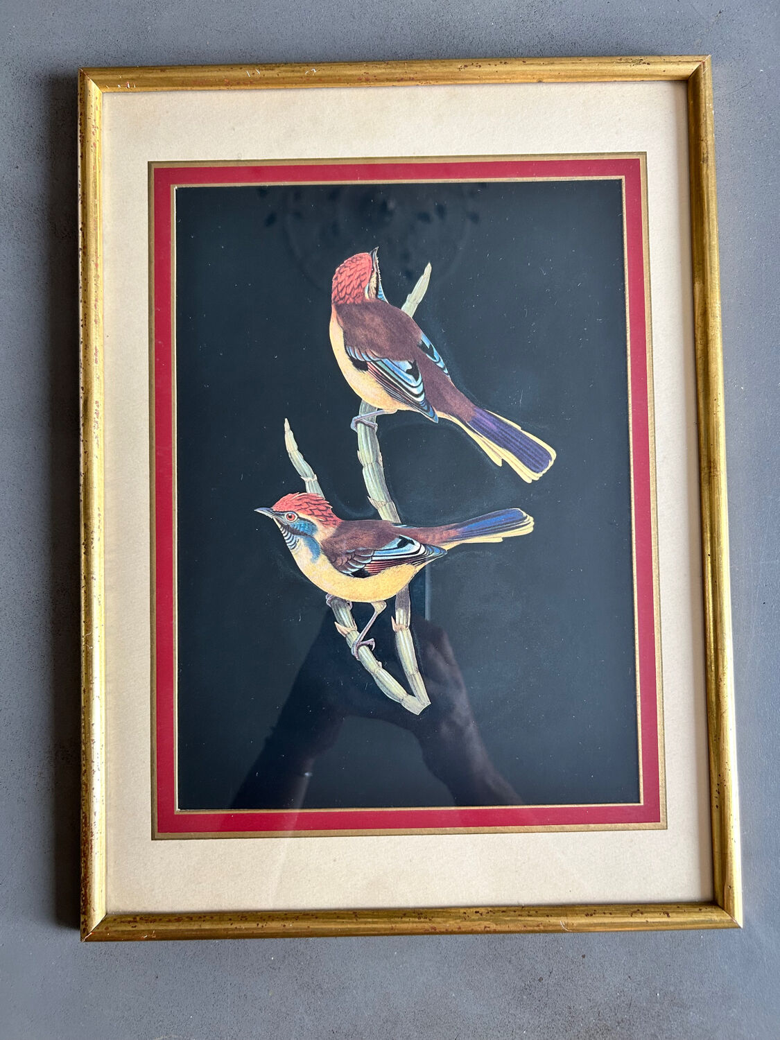 Set of 2 vintage lithographs