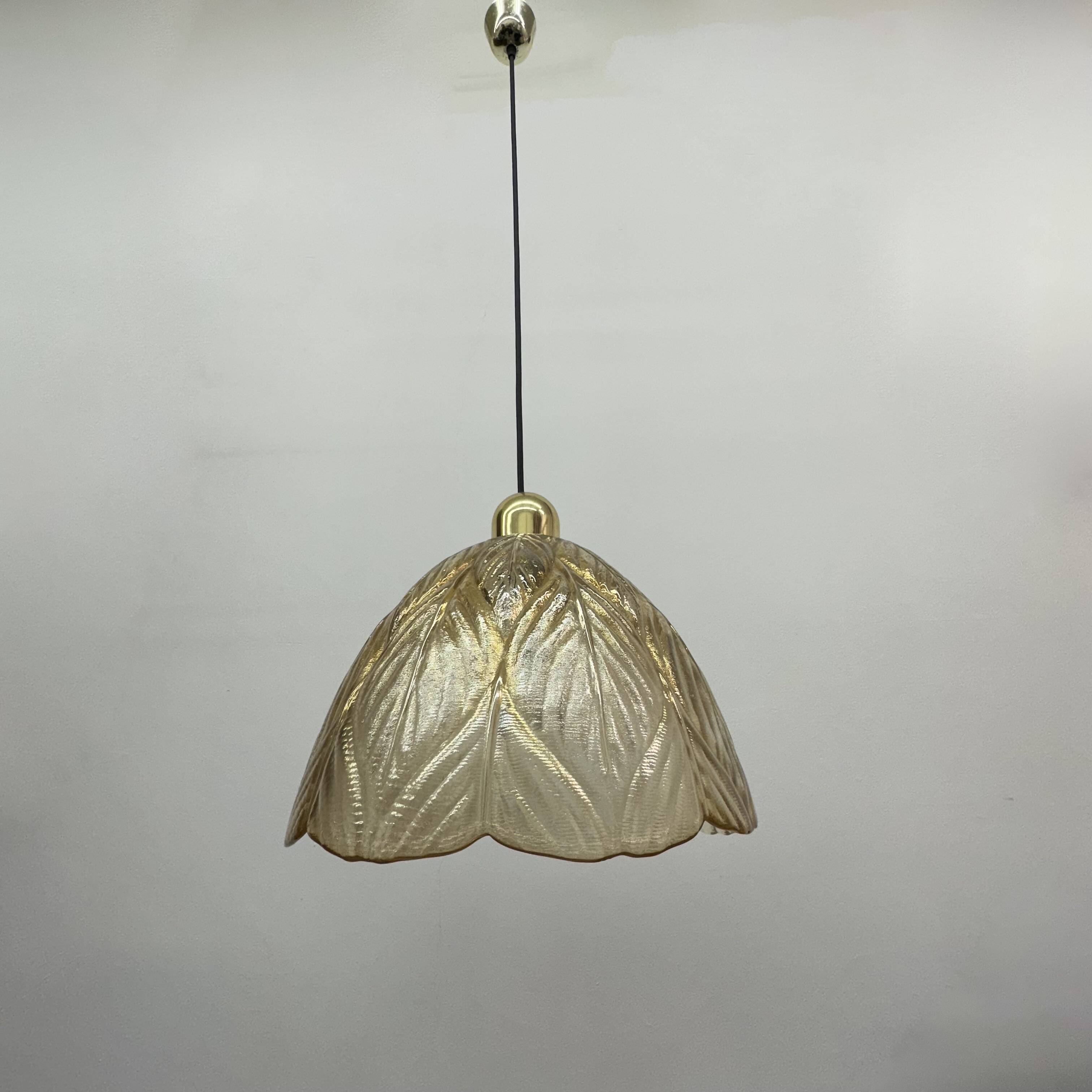 Peil & Putzer glass leaf hanging lamp , 1970’s