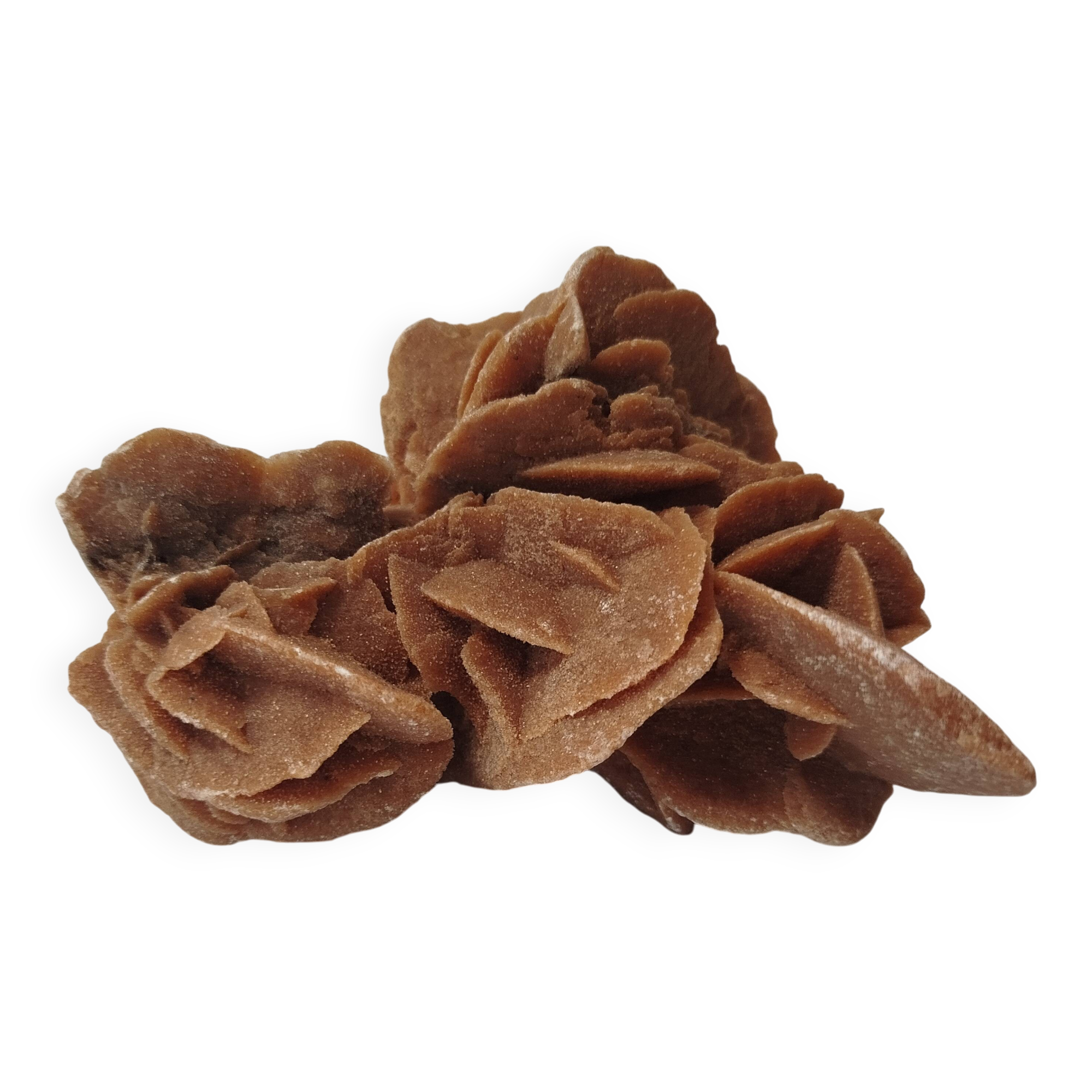 Rose des sables naturelle sculptée par le vent – pièce minérale décorative
