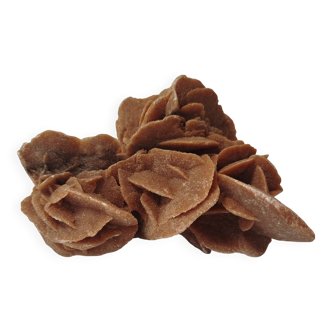 Rose des sables naturelle sculptée par le vent – pièce minérale décorative
