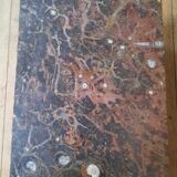 Coffee table  fossilifere top