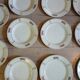 14 Terre de fer SALINS "Water Lily" plates