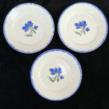 12 flat plates badonviller décor blue flower no digoin nº1