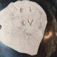 Vintage green ceramic bowl signed PL IV