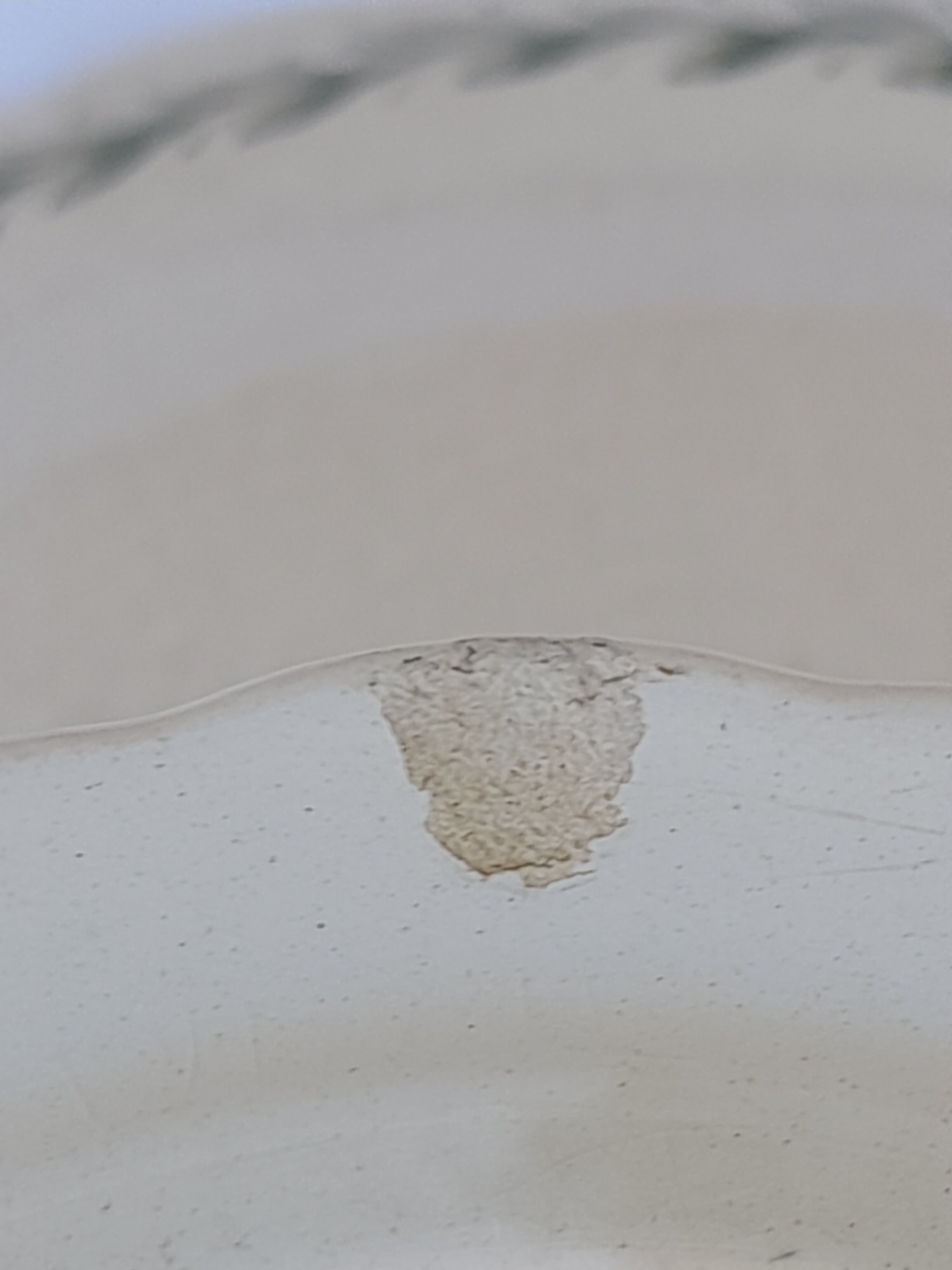 Compotier of the Manufacture Longchamp model Belleville