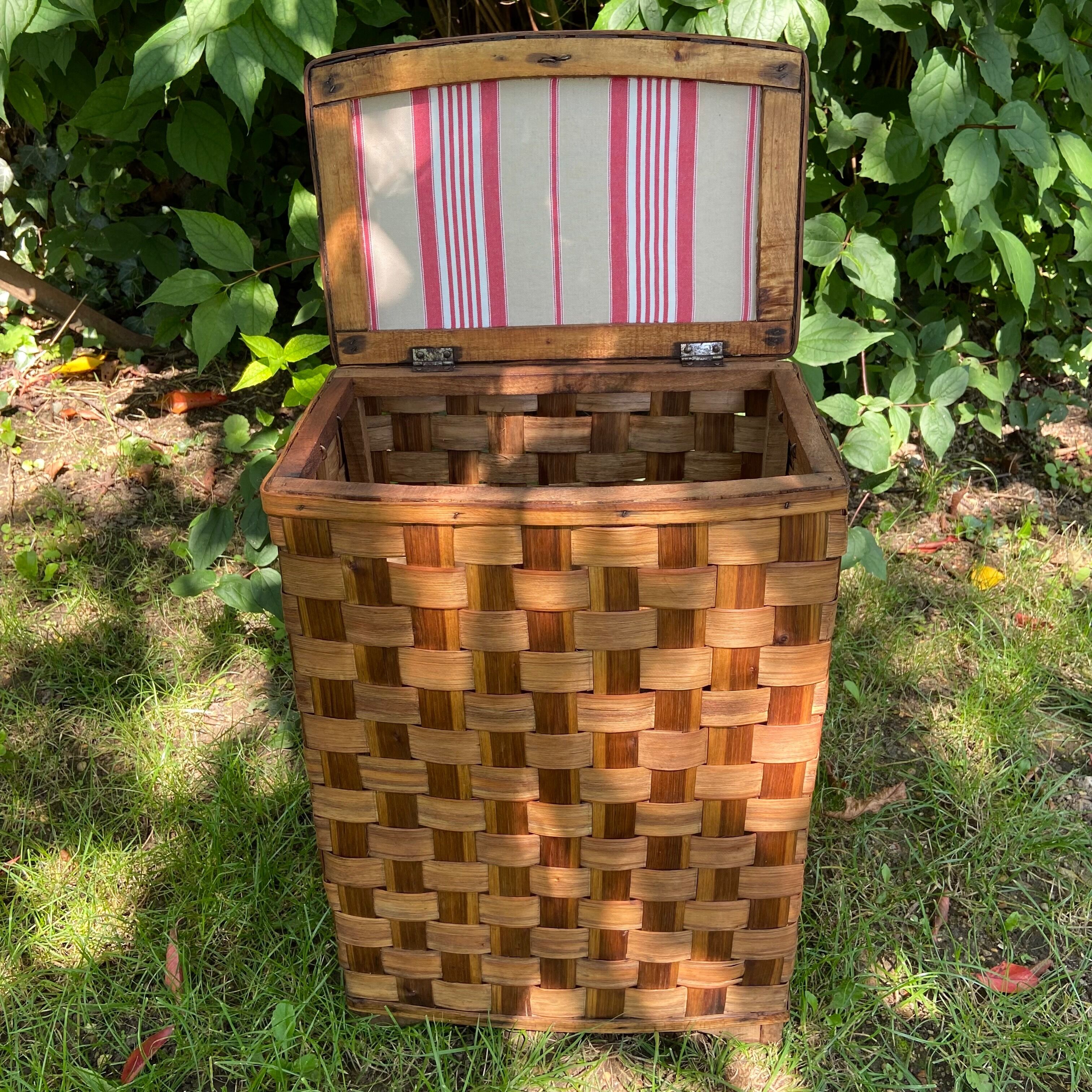 Chestnut chest braided-50s