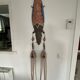 Masque terre cuite artiste espagnol