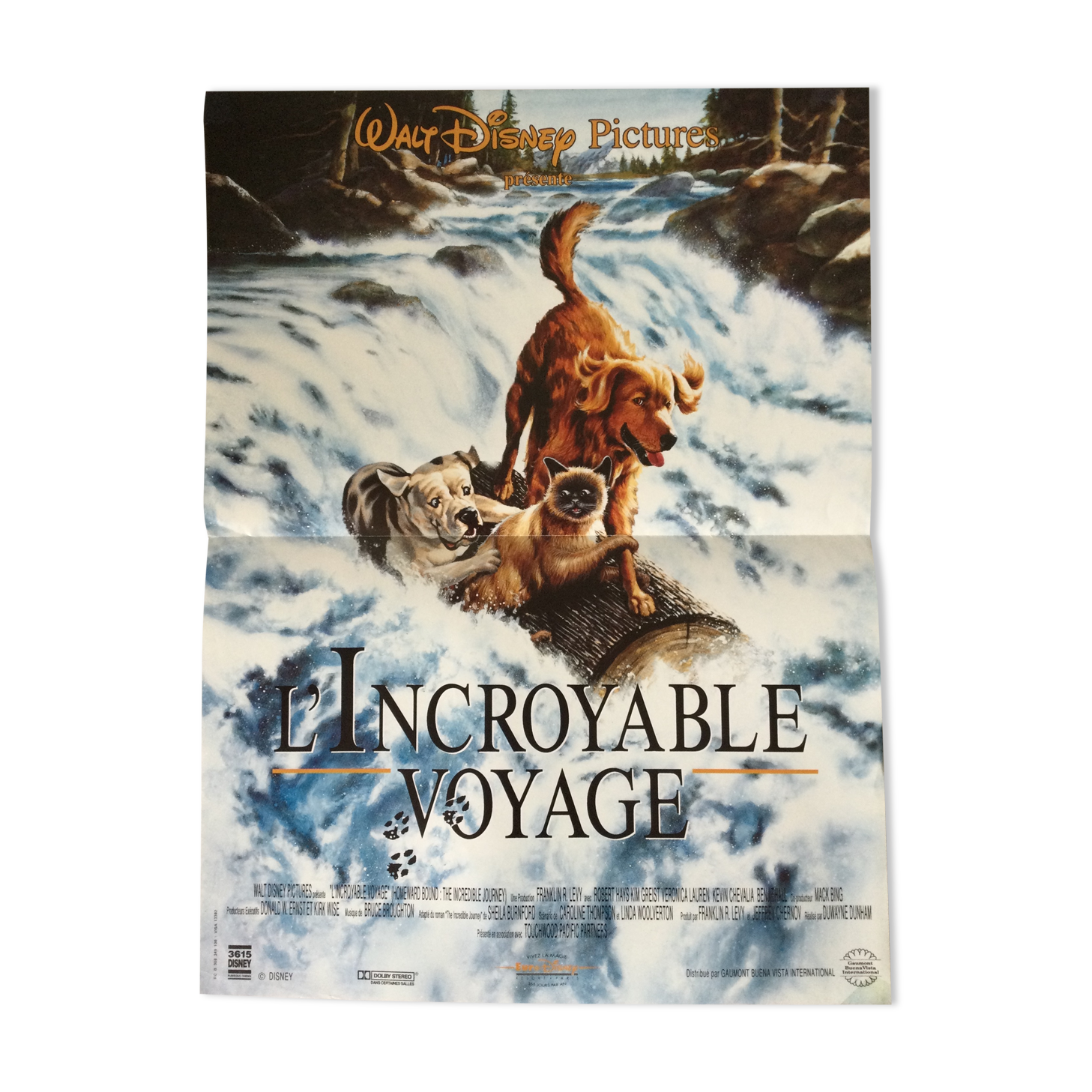 Poster of the film "The Incredible Journey"