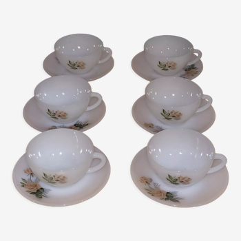 6 tasses Arcopal fleurs de France