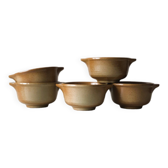 Set of 5 bowls in real L'Arnon stoneware