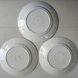 Six mismatched plates iron earth