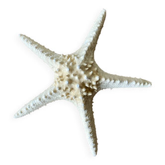 Starfish