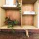Library rattan