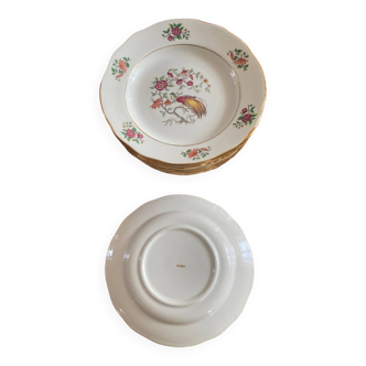 Gressey plates