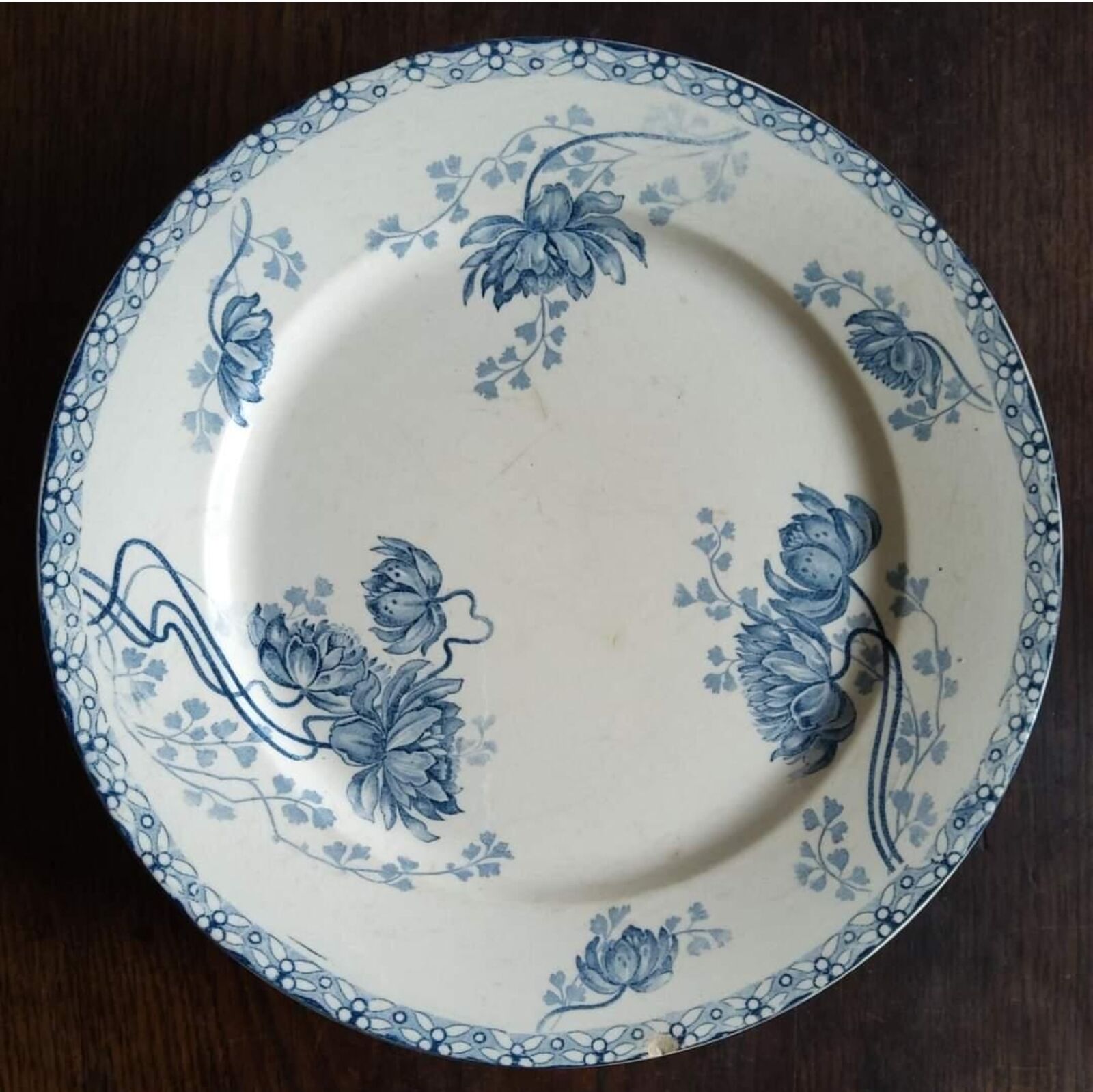 Lot of old plates in iron earth