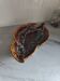 Large dish Vallauris