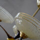 1940's french vintage chandelier