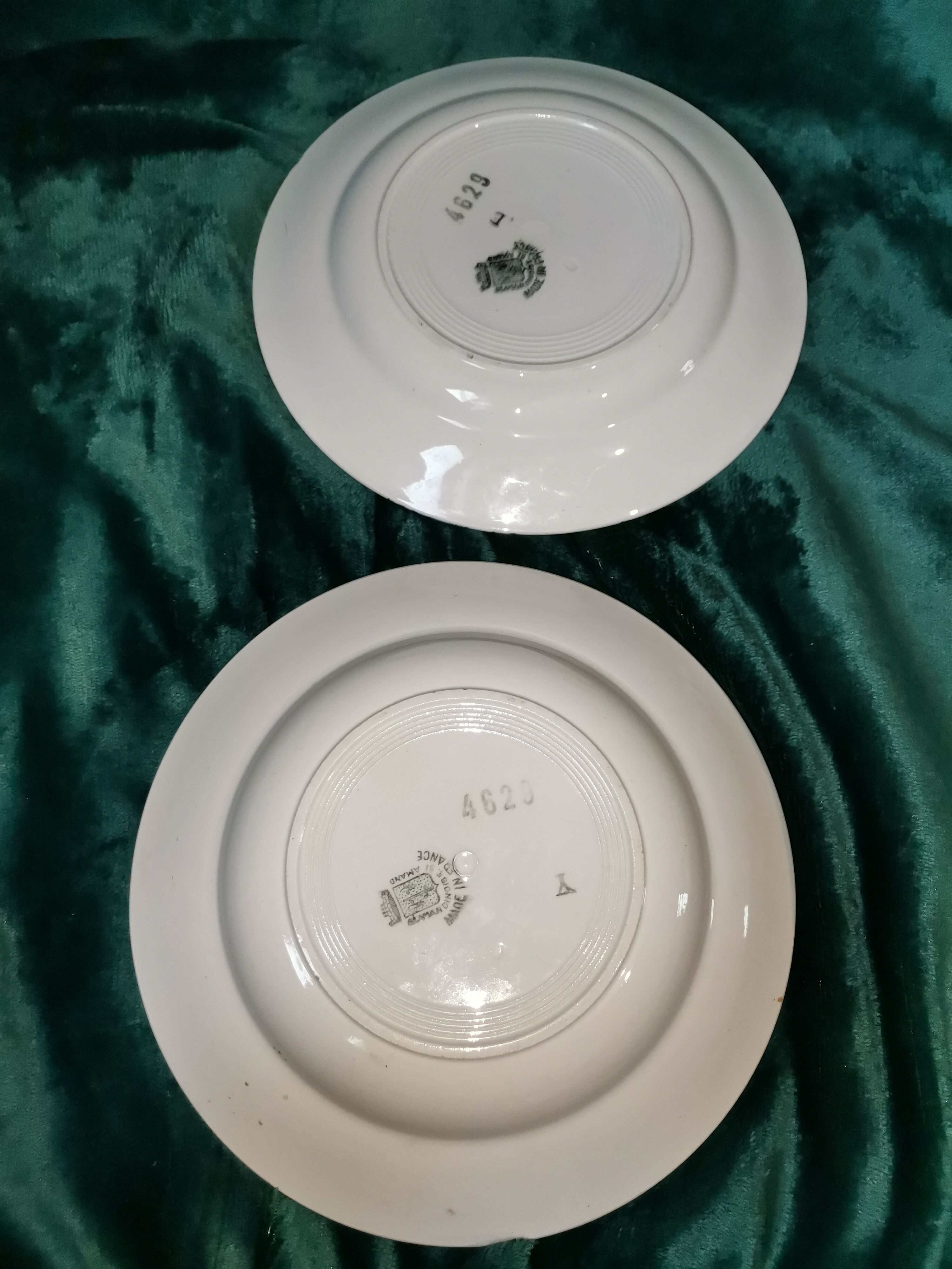 Duo plates flat and hollow apple Saint-Amand