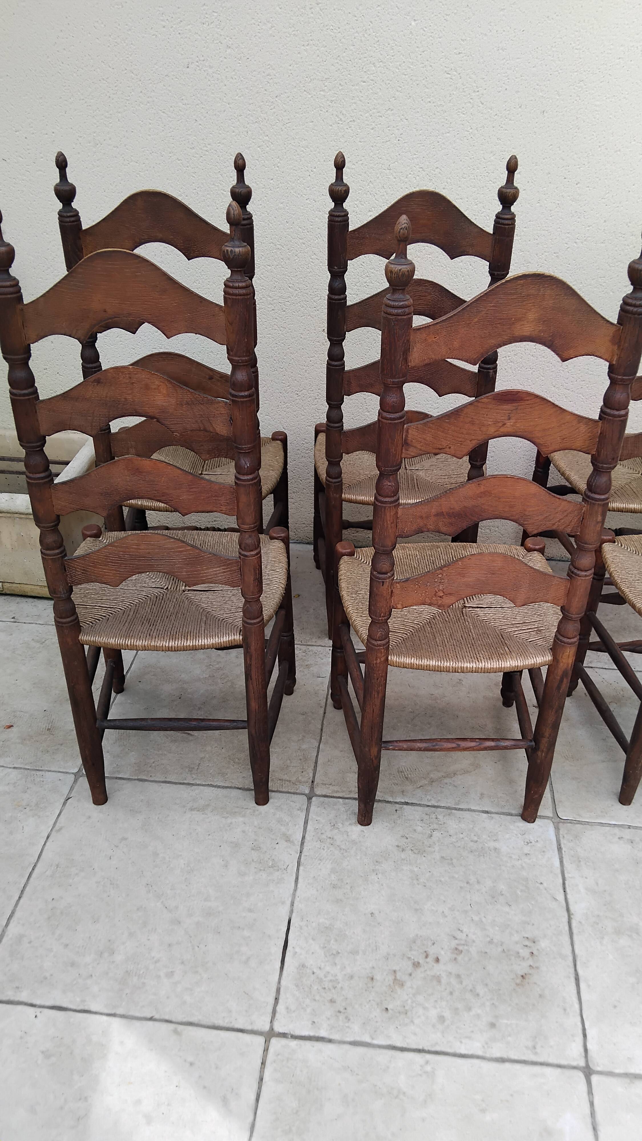 6 antique vintage oak monastery chairs