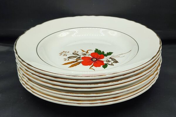 Lot de 8 assiettes + 1 plat ovale vintage Moulin des Loups Champêtre rouge