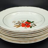 Set of 8 plates + 1 vintage oval dish Moulin des Loups Champêtre red