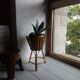 Bamboo and rattan plant holder tripod of the 50s