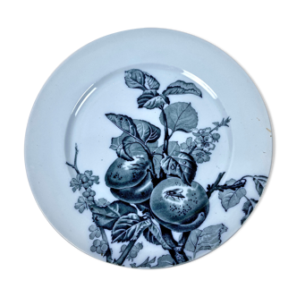 Set of 4 plates decorated with fruit