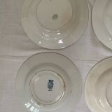 Iron earth deep plates