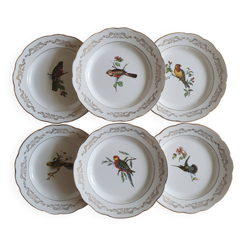 6 assiettes plates Gien Moineaux de Paris