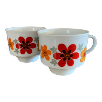 2 cups Wunsiedel Bavaria Germany