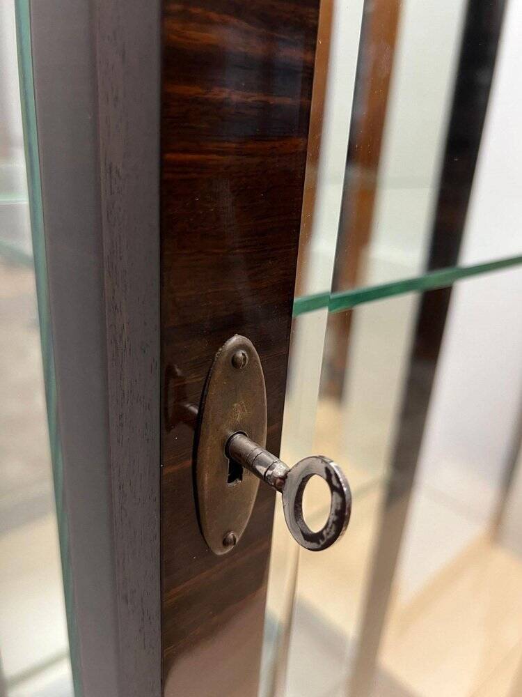 Art Deco Display Cabinet in Glass & Macassar Veneer, France, 1930